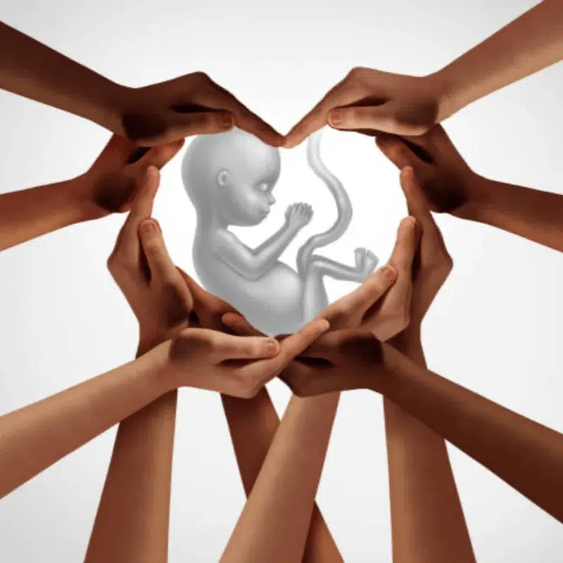 hands Sponsorship & Donations