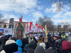 img-7847